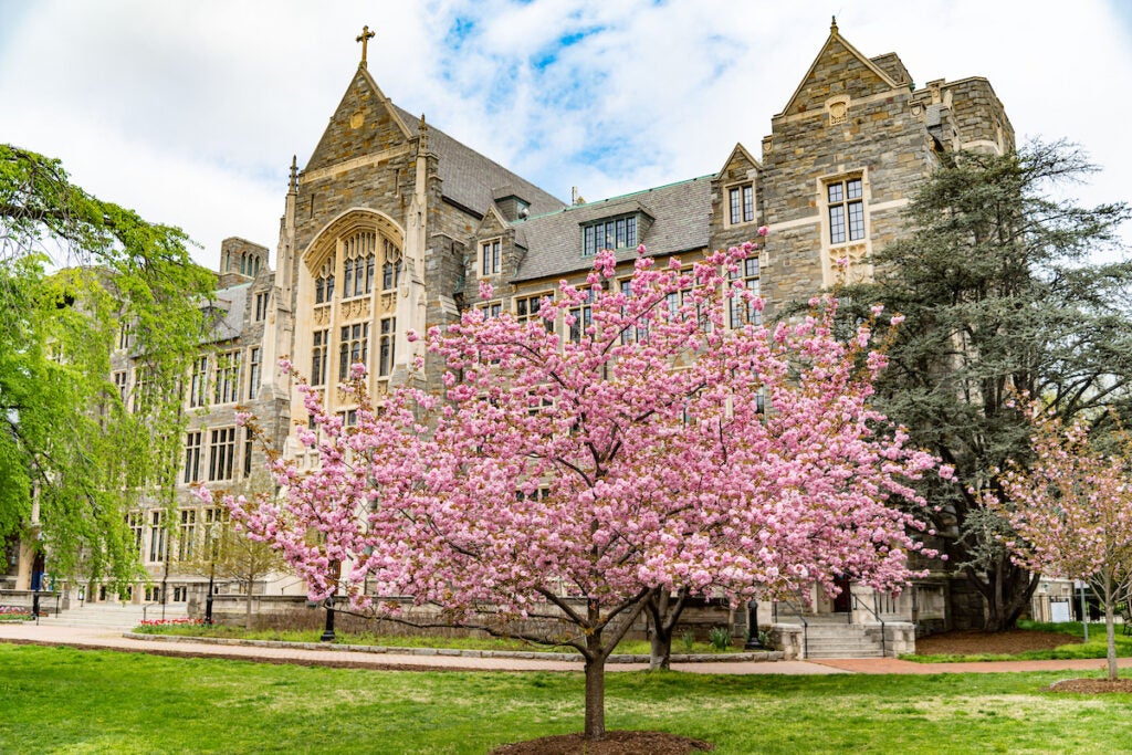 View of White Gravenor from the quadrangle in the spring